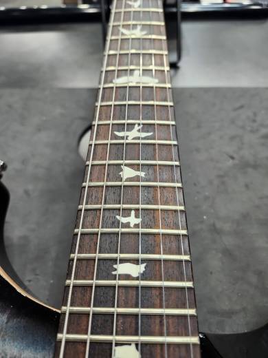 PRS Guitars - 112784::F3: 2